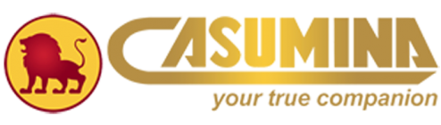 casumina-new-logo-s2